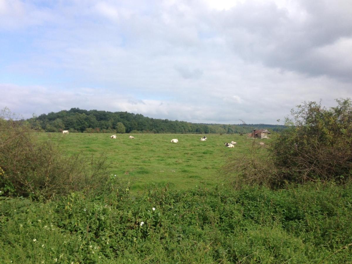Ferme Houard Bed & Breakfast Bomal Eksteriør bilde